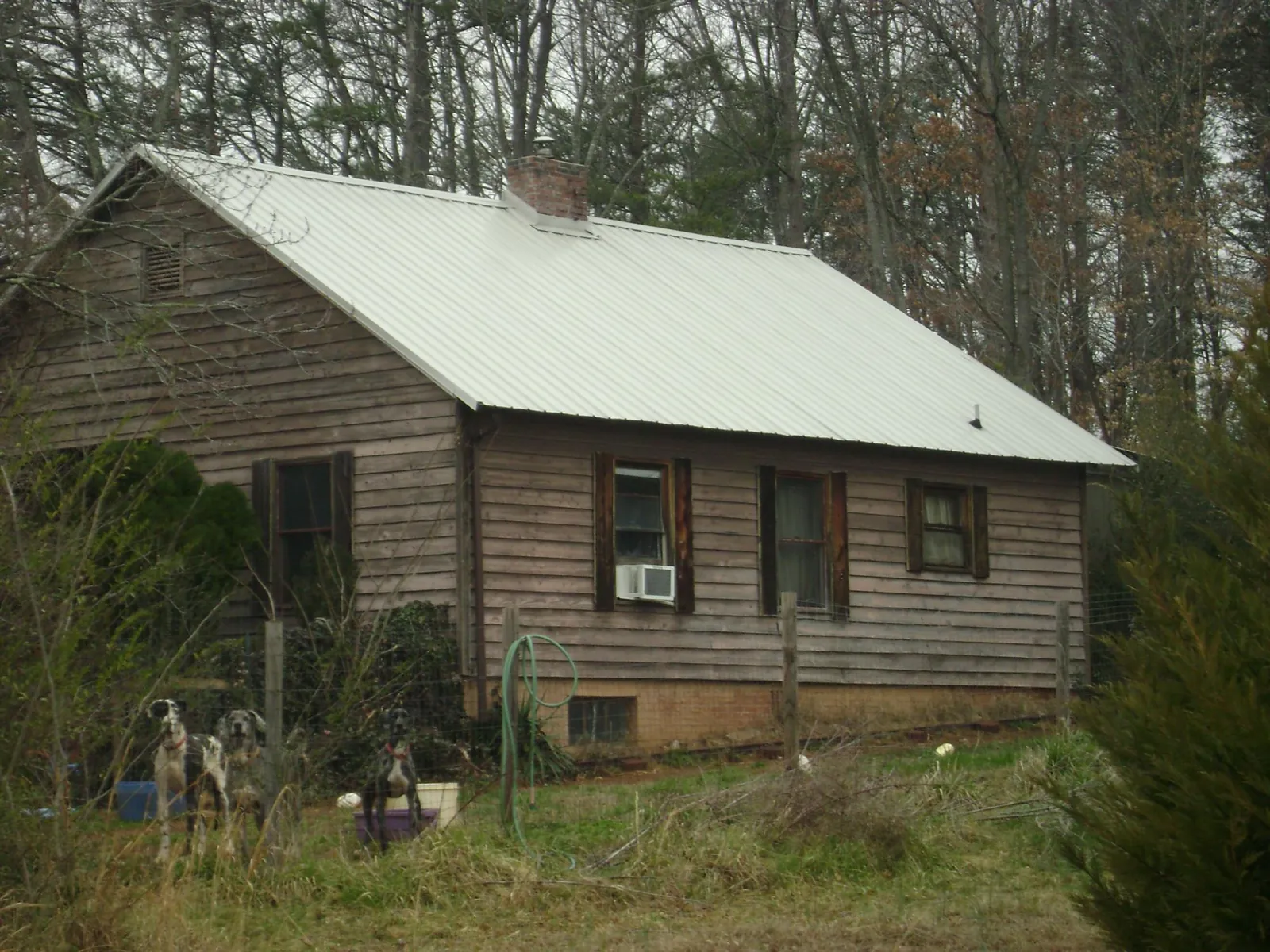 White metal roof on an old wood sided farmhouse, from a Asphalt Shingle Roof Repair job in Masury